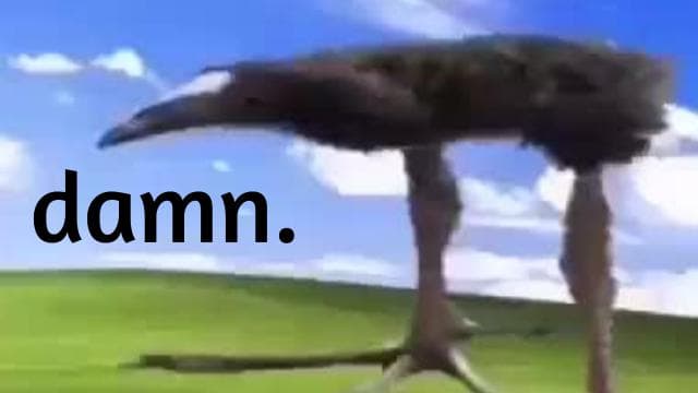 "DAMN!!!!!!!!!"  Bird - Horde Alert SFX Replacement