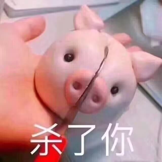 阅读简介的能力