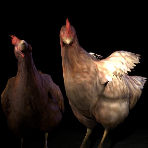 CSGO Chicken Ragdoll