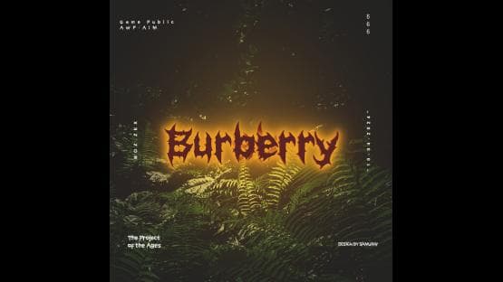 Burberry Sss