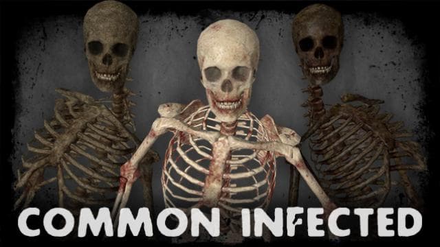 Skeletons (No Organs)