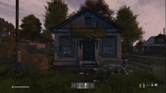 DayZ