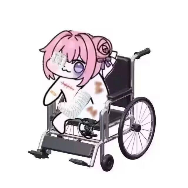 轮椅军官团