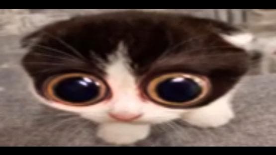 ChronoVPK