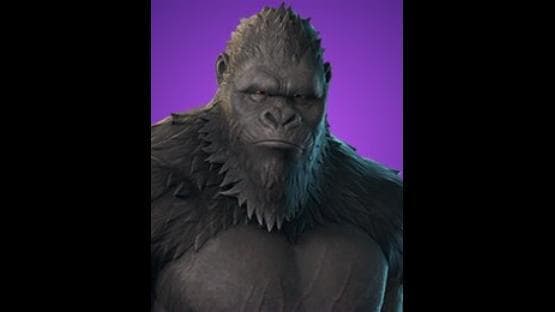 KONG (player model)
