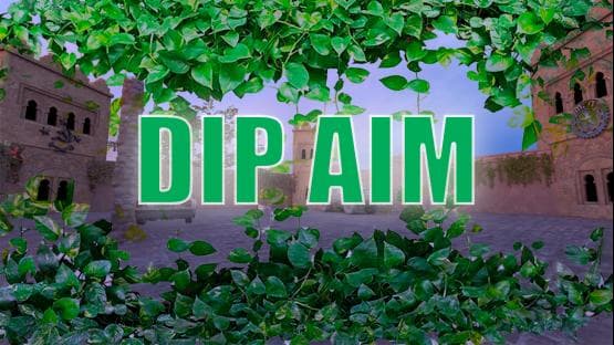 DIP AIM