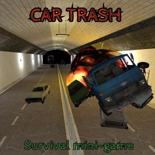 Car Trash