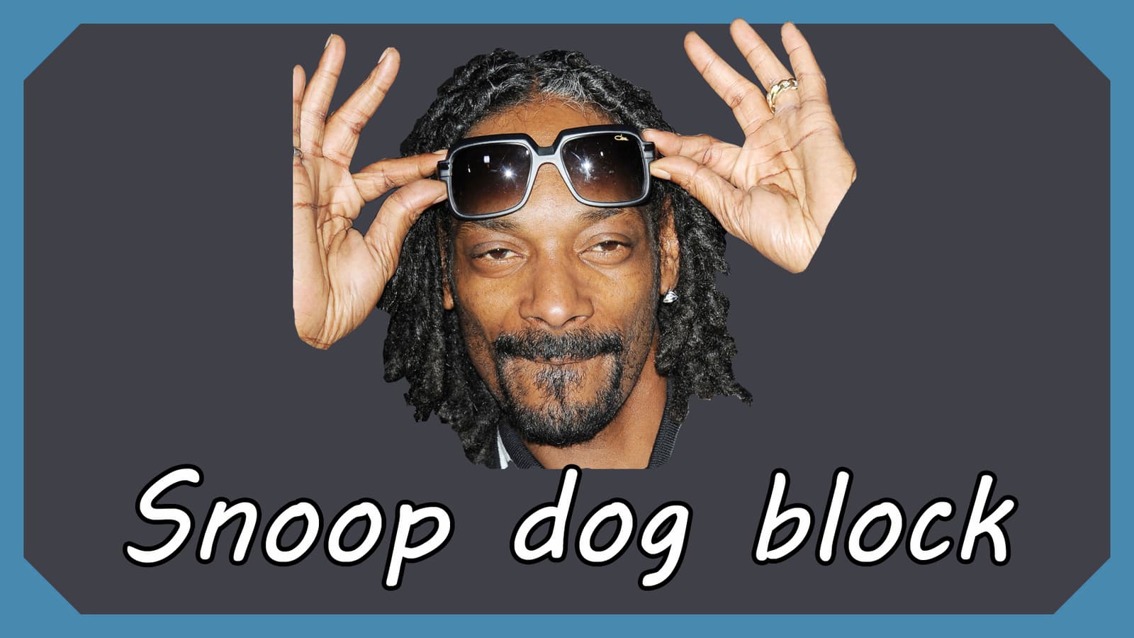 Snoop block