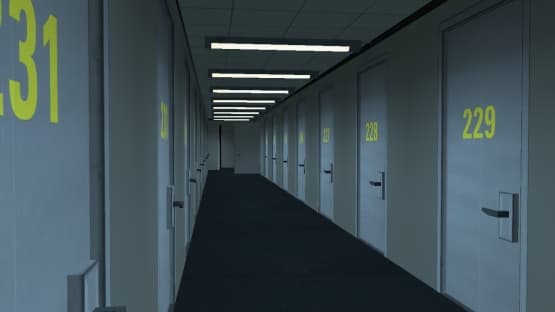 Perspective