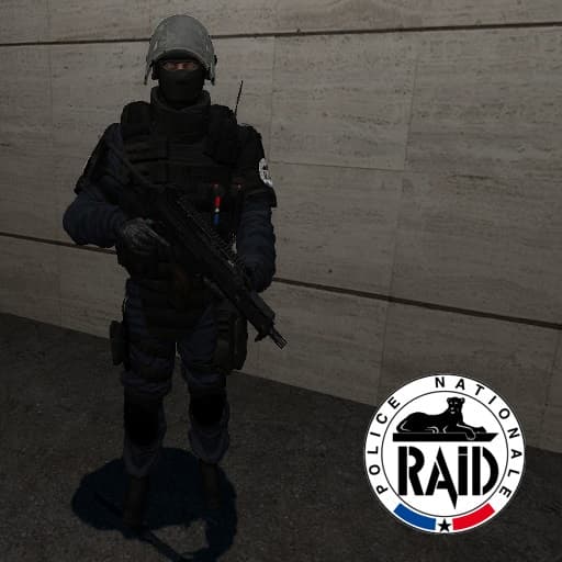 Playermodel - RAID