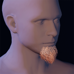 Beard12.png