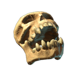 Decorative Skull III
