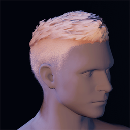 Hair24.png