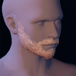 Beard13.png
