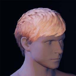 Hair21.png