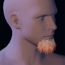 Beard6.png