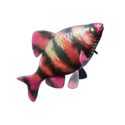 Emberfin