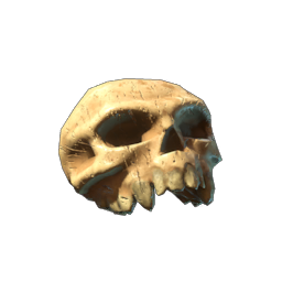 Decorative Skull I