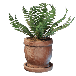 Medium Fern Pot
