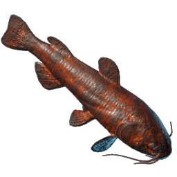 Grilled Whiskerfin