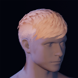 Hair22.png