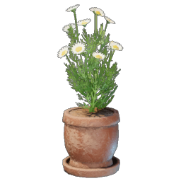 Chamomile Plant Pot