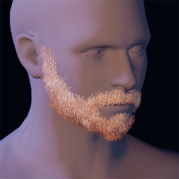 Beard14.png