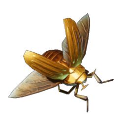 Scarab