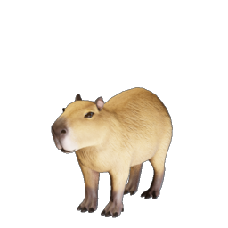 Capybara