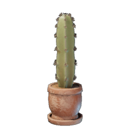 Medium Cactus Plant Pot