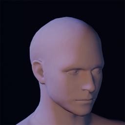 Hair1.png