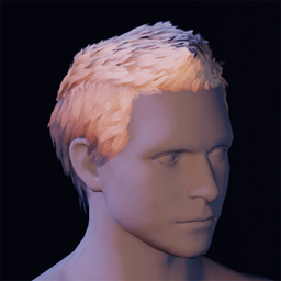 Hair23.png