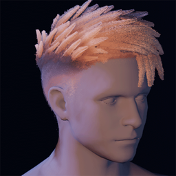 Hair3.png