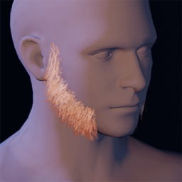 Beard4.png