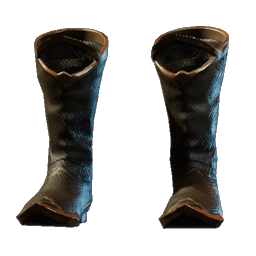 Magician Boots