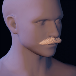 Beard10.png