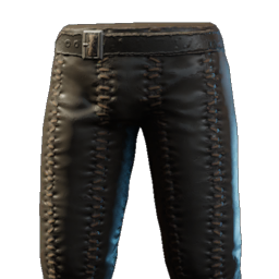 Wizard Pants