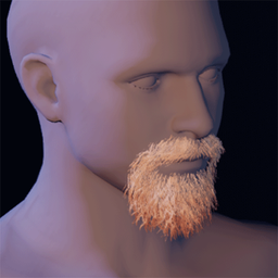 Beard5.png