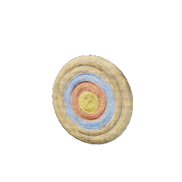 Wall Target