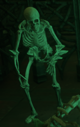 Hollow Skeleton