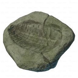 Trilobite Imprint