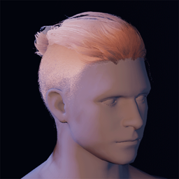 Hair10.png
