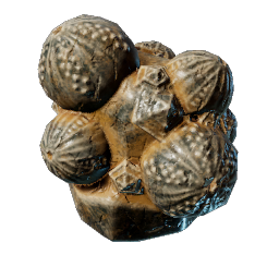 Sea Urchin Cluster