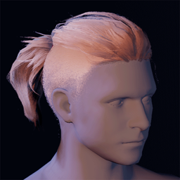 Hair16.png