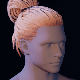 Hair4.png