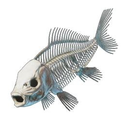 Fish Bones