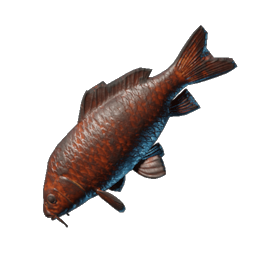Grilled Lakehopper