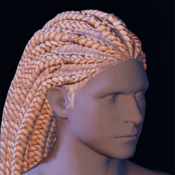 Hair25.png