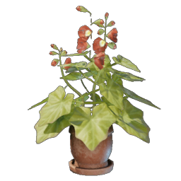 Grapple Plant Flower Pot