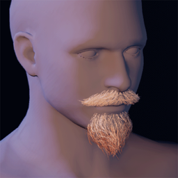Beard11.png